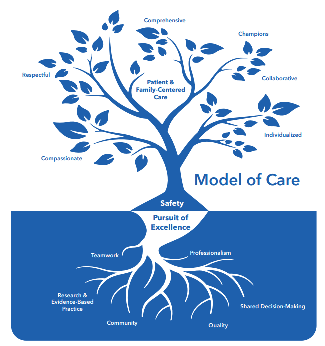 Graphic for the model of care.