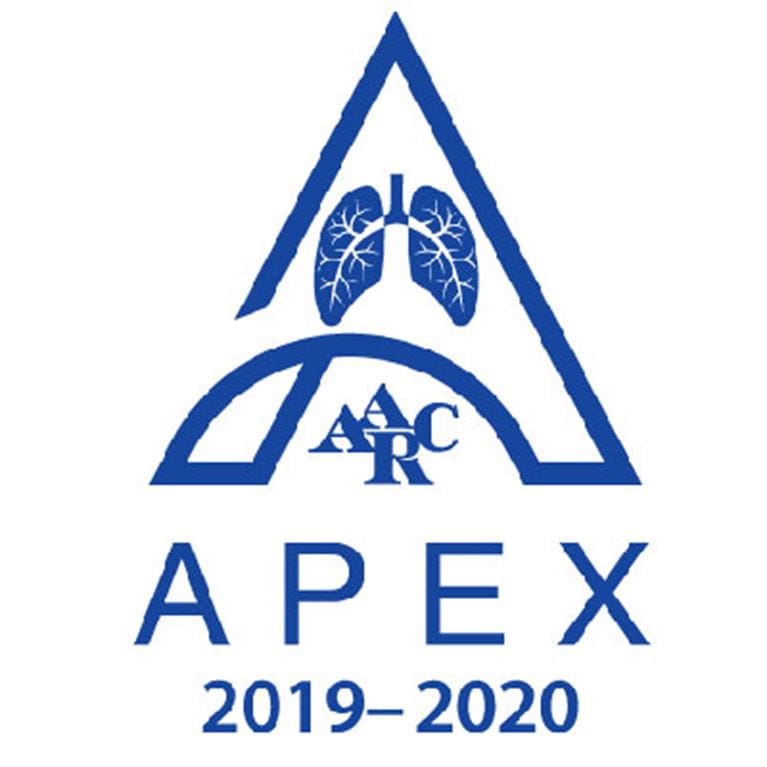 APEX Logo