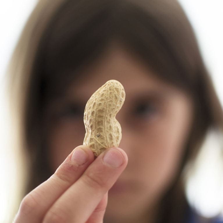 Peanut Allergy Research by Arkansas Children’s Research Institute